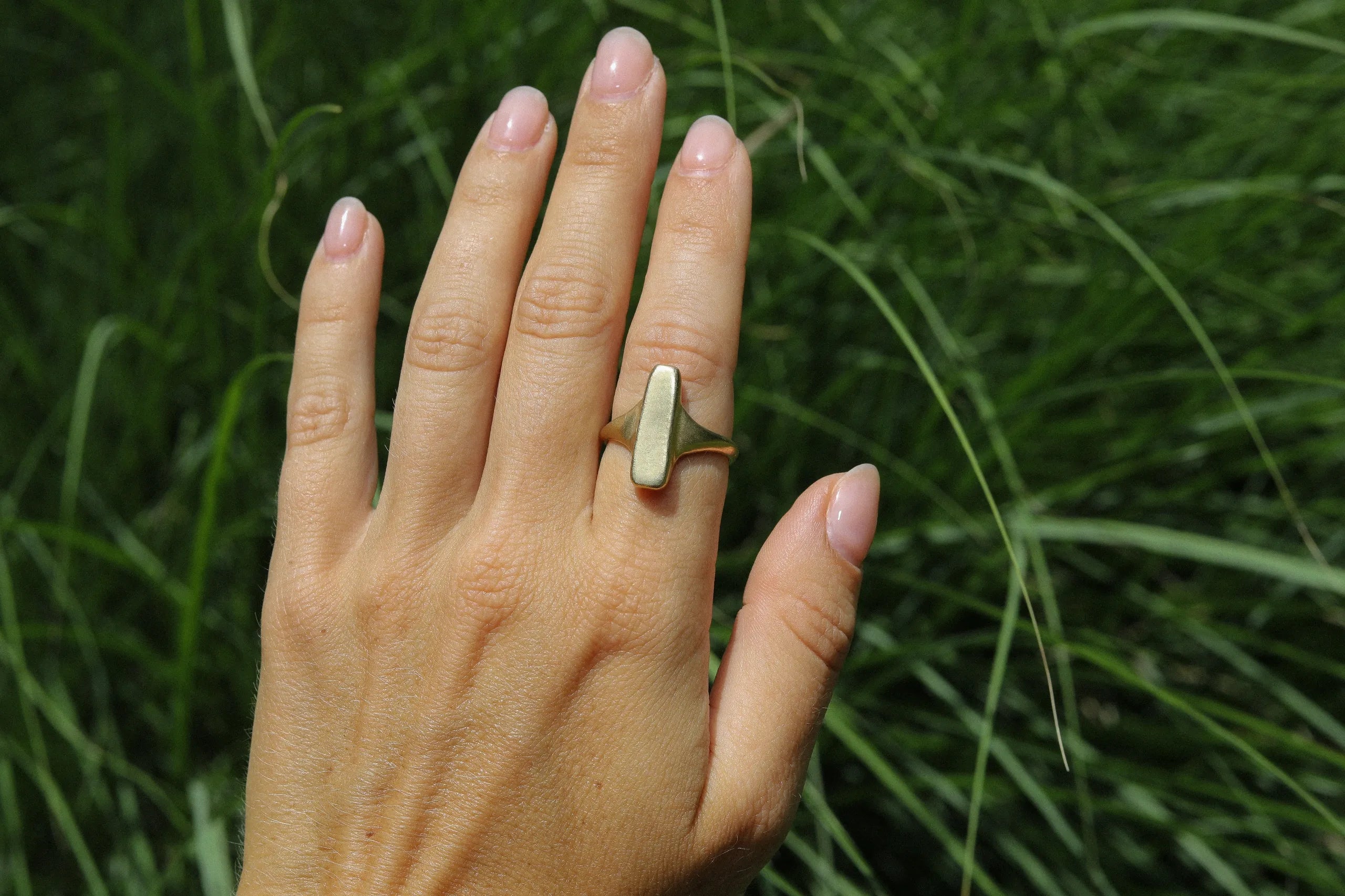 Signet Ring Collection