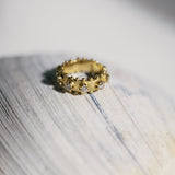 The Hemera Ring