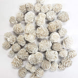 Gypsum Desert Rosette