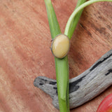 Vintage: Butterscotch Amber Ring