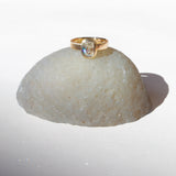 Arlo Ring