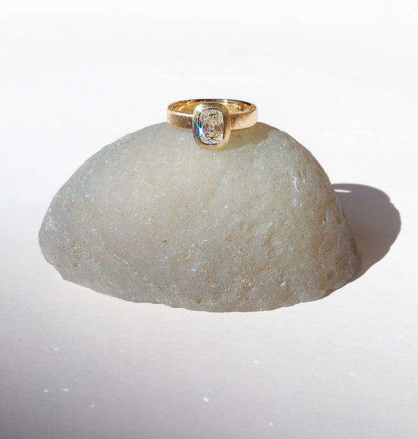 Arlo Ring