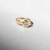 Arlo Ring