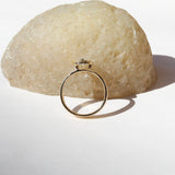 Arlo Ring