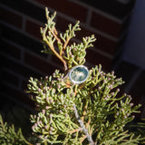 Moss Agate Ring