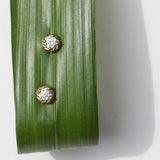 Braided Halo Studs
