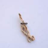 Morel Ring