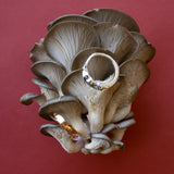 Oyster Ring
