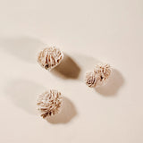 Gypsum Desert Rosette