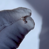 Diamond Drop Earring
